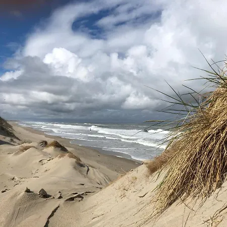 Vakantiehuis Dune Park Stuga, Sauna, Bbq, Netflix *